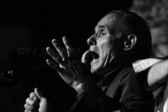 Carlos de Bornos. XLII Concurso Internacional de Cante por Peteneras. 2017. Paterna de la Rivera. Foto: FJ Crespo