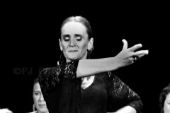 María José Mateos. Cierre Curso Taller de Baile de Estefania Muñoz. Foto: FJ Crespo